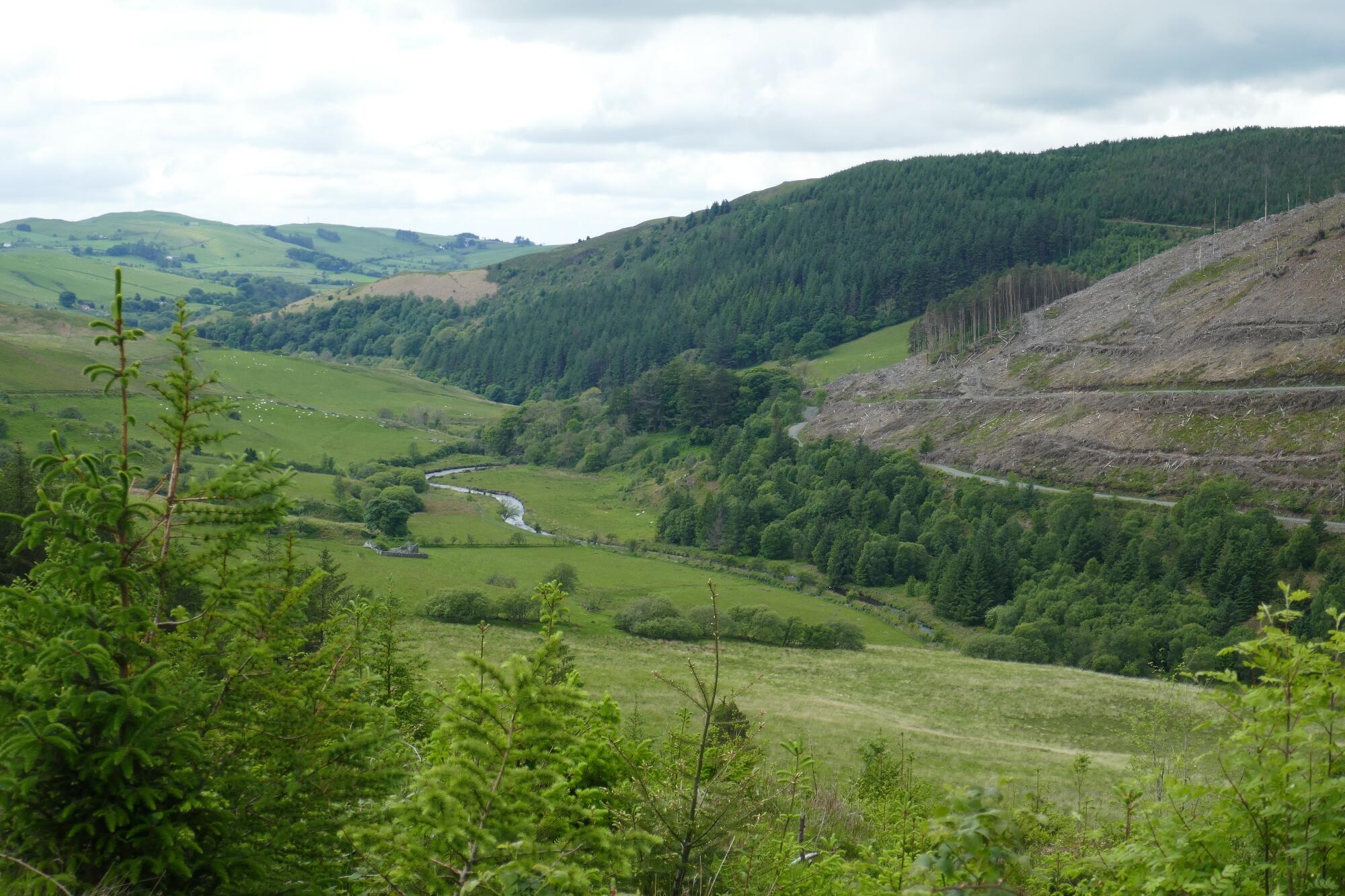 RachelSeabrook.net | Wild Walking | Devils-Bridge; pic49